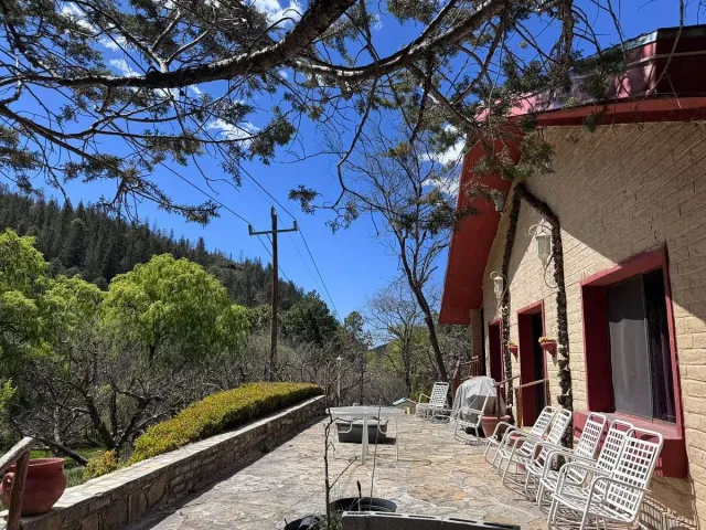 place photo 19