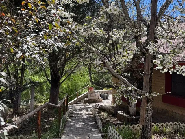 place photo 14