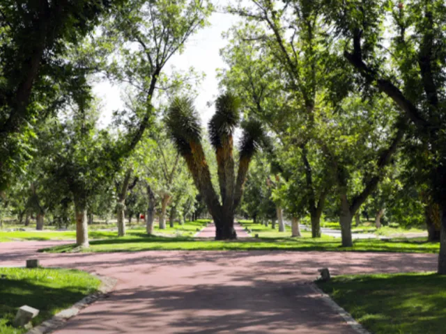 place photo 32
