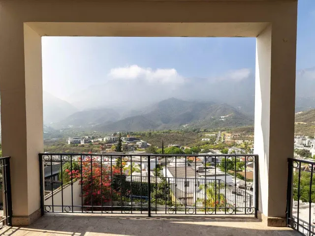 place photo 47