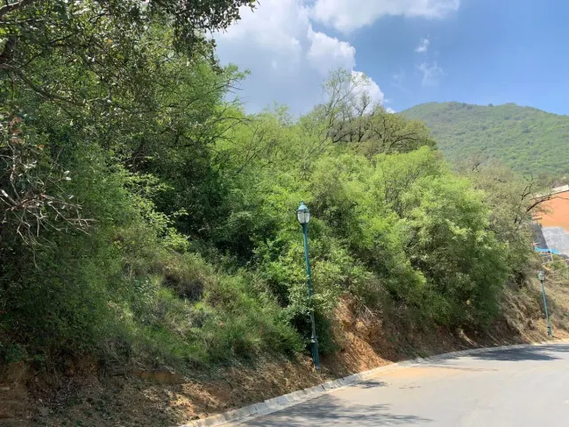 place photo 8