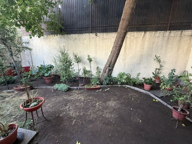 place photo 57