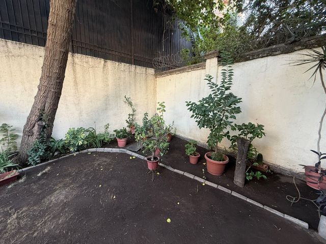 place photo 58