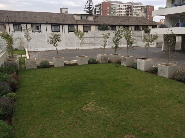 place photo 24