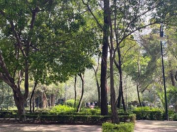 place photo 27
