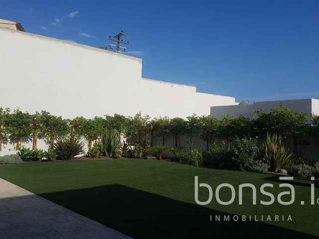 place photo 20