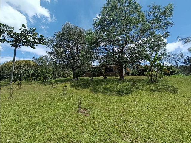 place photo 47