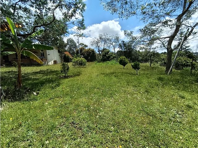 place photo 45