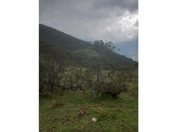 place photo 49