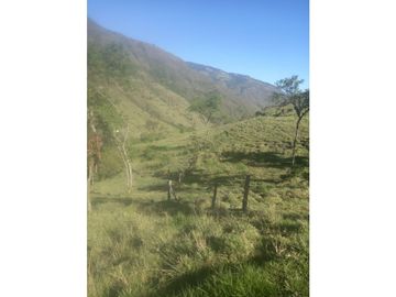 place photo 53