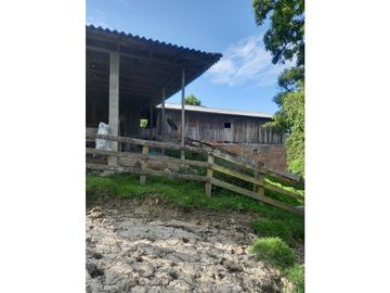 place photo 47