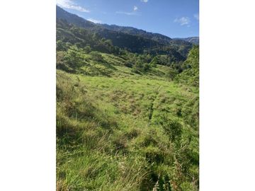 place photo 51