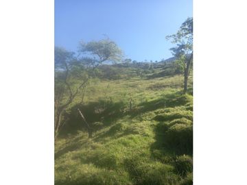 place photo 56