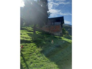 place photo 43