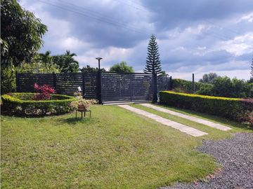 place photo 54