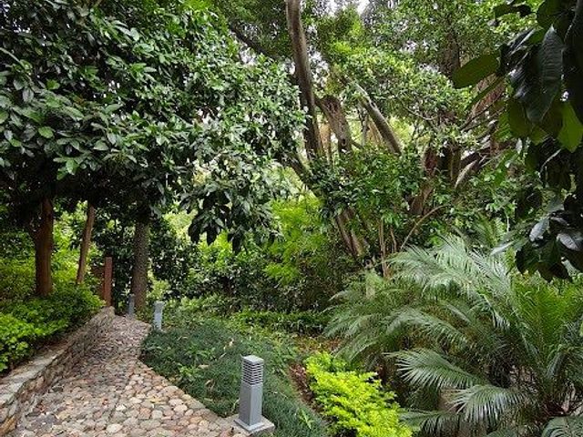 place photo 33