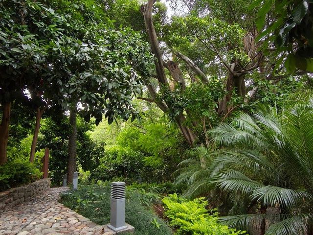 place photo 25