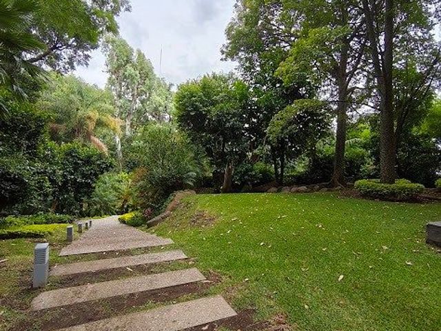 place photo 37