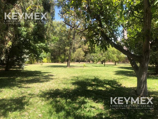 place photo 57