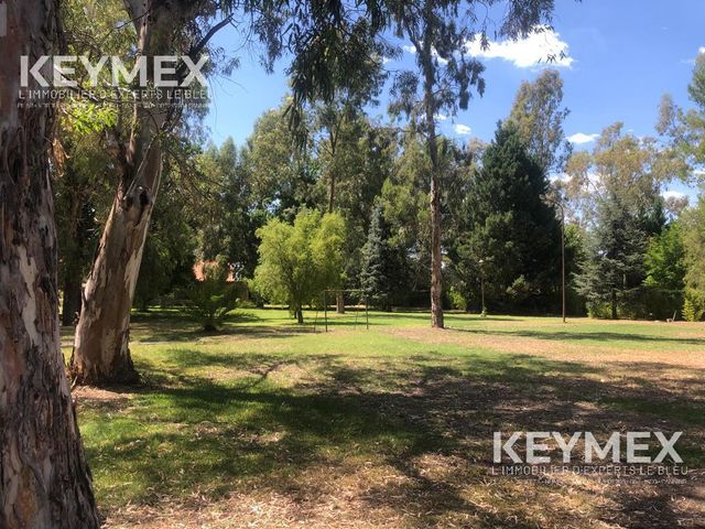 place photo 56