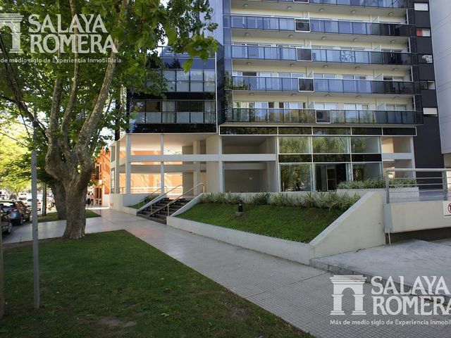 place photo 36
