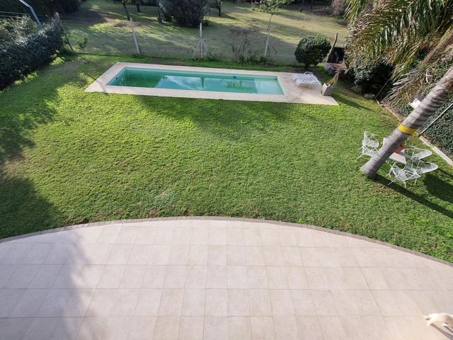 place photo 60
