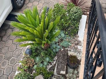place photo 10
