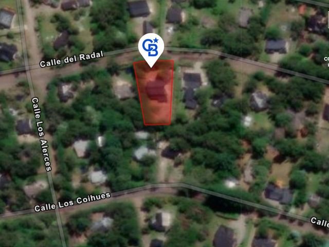 place photo 18