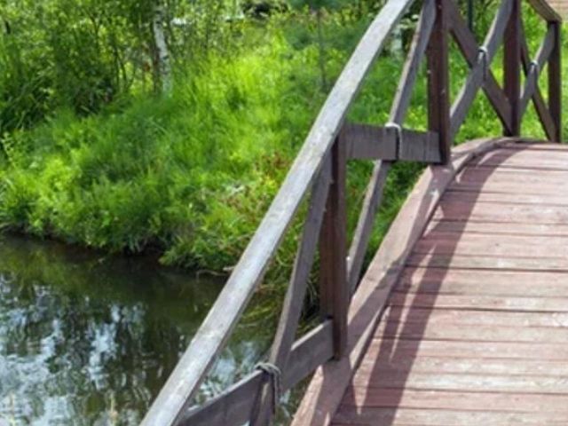 place photo 26