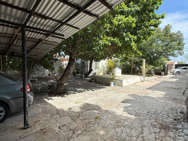 place photo 14