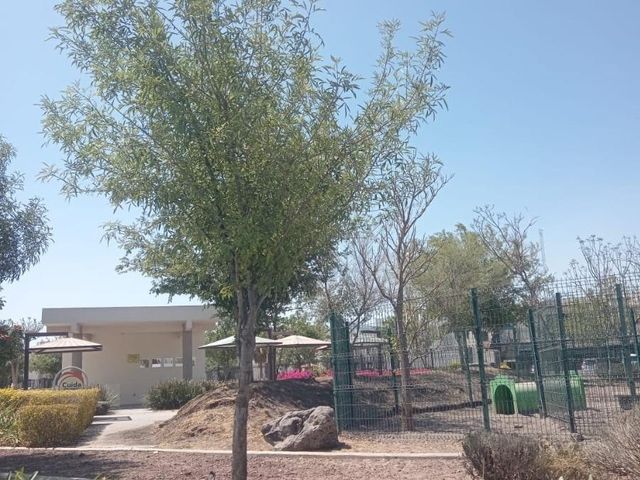 place photo 30