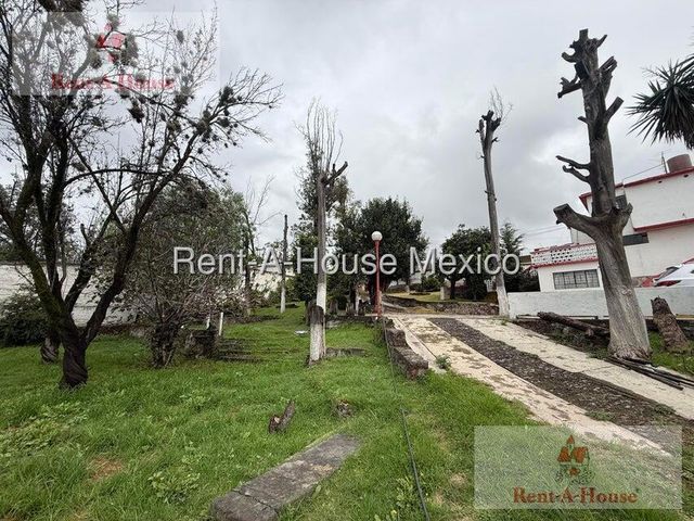 place photo 43