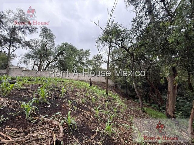 place photo 40