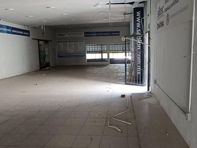 place photo 11