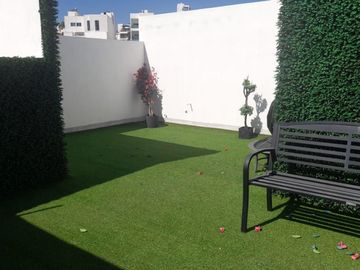 place photo 13