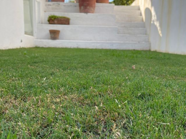 place photo 26