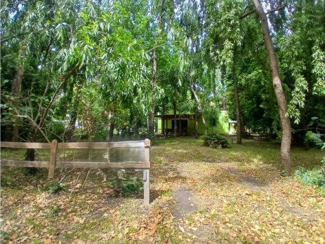 place photo 34