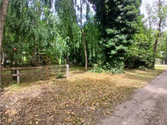 place photo 35
