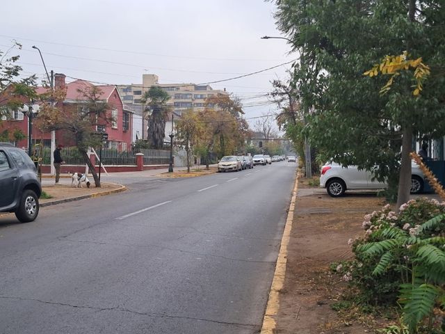 place photo 29