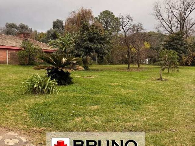 place photo 13