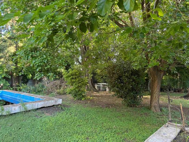 place photo 43