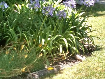 place photo 36