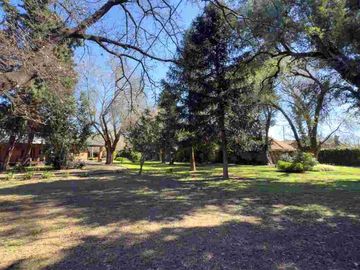 place photo 36