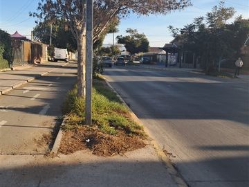 place photo 30