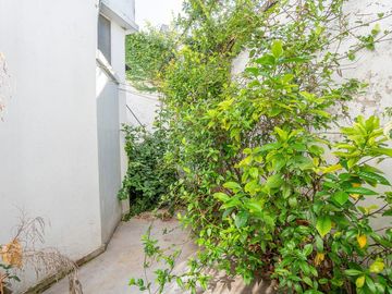 place photo 36