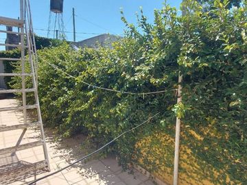 place photo 17