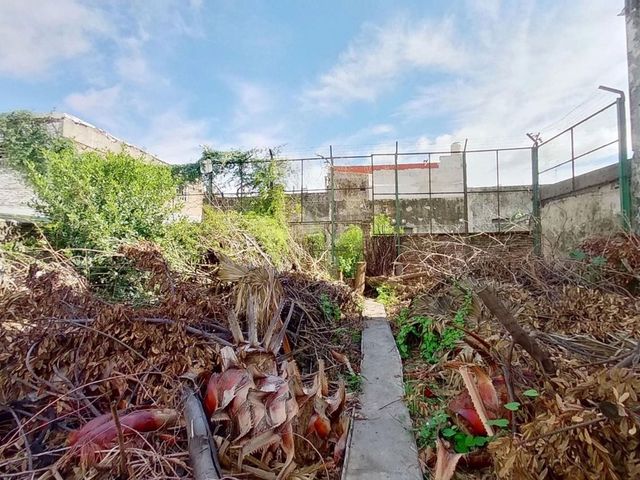 place photo 46