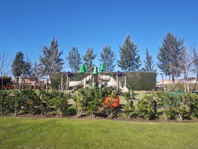 place photo 47