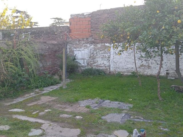 place photo 24