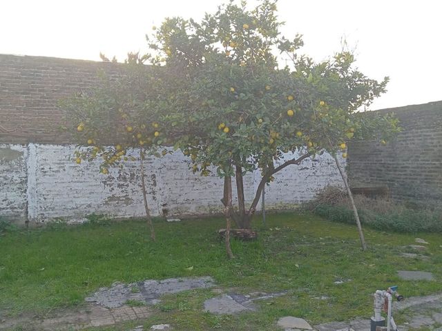 place photo 26
